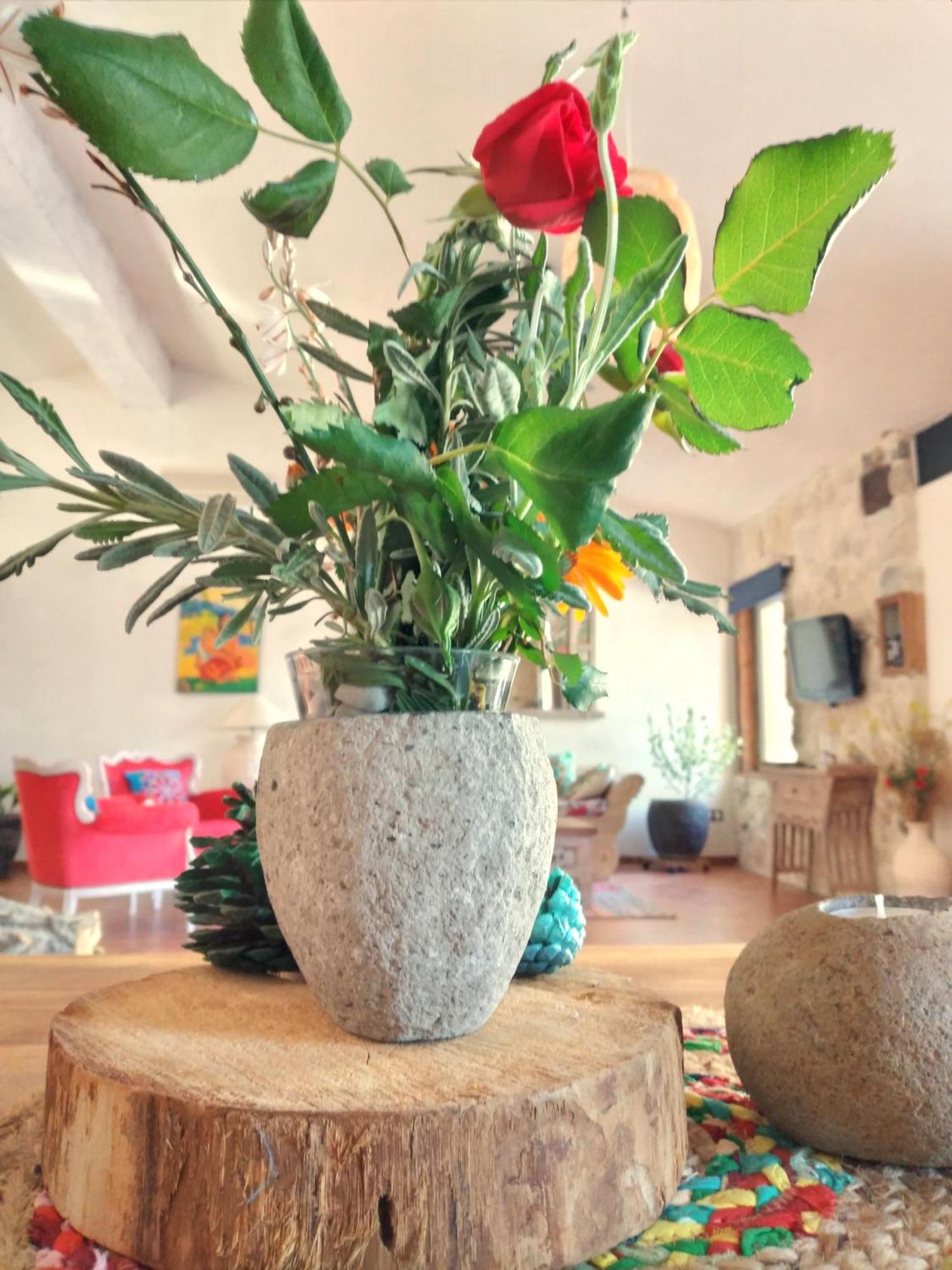 Loft Carriones Villa Castilléjar Екстериор снимка